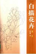 花卉白描  玉兰