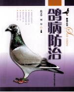 鸽病防治