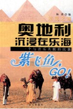 奥地利沉浸在乐海