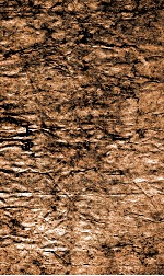 新订四书补注借旨  下谕  卷3