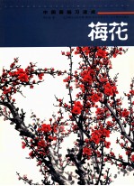 中国画临习速成  梅花