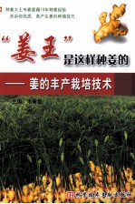 姜王是这样种姜的  姜的丰产栽培技术