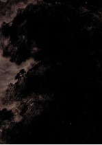 中国当代名家画集  亓秉轩