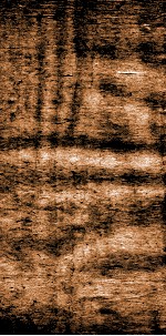 四书文选  钦定启祯四书文  1