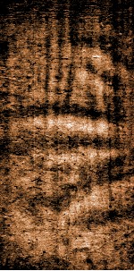 四书文选  钦定启祯四书文  3