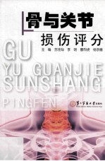 骨与关节损伤评分