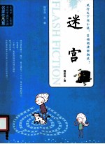 当代中国闪小说名家作品集  迷宫 封面
