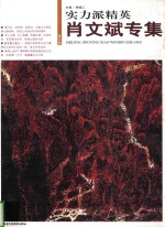 实力派精英  第6辑  肖文斌专集