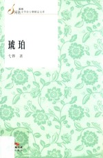 琥珀 电子书封面