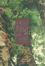 鉴赏家  春天枫林晓城