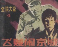 飞贼闹京城  《金陵大盗》  4