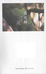青皮林 电子书封面