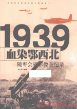 中国抗日战争战场全景画卷  血染鄂西北  随枣争夺战影像全纪录