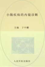 小肠疾病的内镜诊断