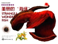 海洋怪物小百科  美丽的海怪