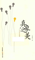 真象之美  叶渭渠自选集