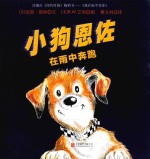 小狗恩佐  在雨中奔跑