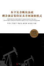 东辛复杂断块油藏剩余油富集特征及井网调整模式