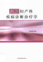 实用妇产科疾病诊断治疗学  下