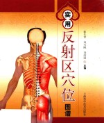 实用反射区穴位图谱