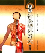 实用针灸经外奇穴图谱