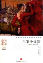名家名译全本世界经典文学名著  巴黎圣母院