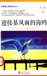 迎接暴风雨的海鸥