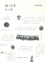 中国国家地理  绿了芭蕉红了花