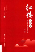 红楼扫残录:《红楼梦》背后的兴亡史  下