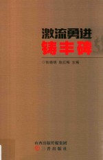 激流勇进铸丰碑
