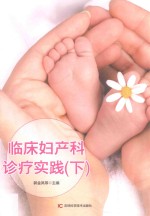 临床妇产科诊疗实践  第2版  下