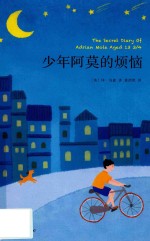 少年阿莫的烦恼