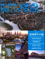 时代楼盘  164  无特色不小镇