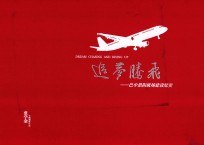 追梦腾飞：巴中恩阳机场建设纪实