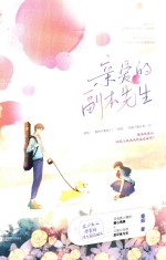 亲爱的副本先生 电子书封面