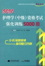 2020护理学（中级）资格考试强化训练5000题