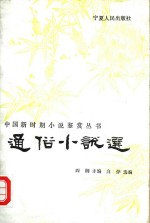 通俗小说选
