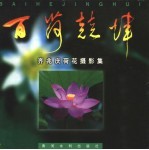 百荷竞辉  齐兆庆荷花摄影集