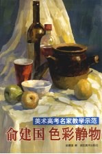 美术高考名家教学示范  俞建国色彩静物  4