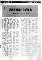 虾塘泥滩混养花蛤技术