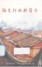 翔安行政村简介