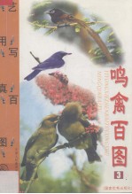 鸣禽百图  3