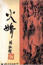火娇 封面