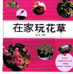 逆生长慢生活  在家玩花草