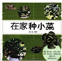 逆生长慢生活  在家种小菜