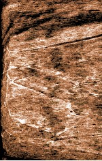 陈修园七十二种  春温三字经  痢症三字诀  温热条辨  温热赘言  瘧疾论  上、中、下  达生篇  妇科亲症录  引痘略  救迷良方  太乙神缄  福幼篇 封面