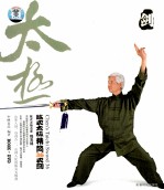 陈式太极  精简36式剑