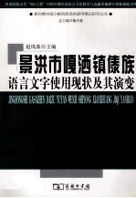 景洪市嘎洒镇傣族语言文字使用现状及其演变