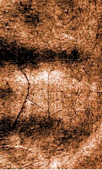 闺媛典  卷152-159