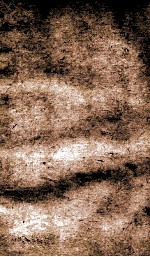 闺媛典  卷369-376